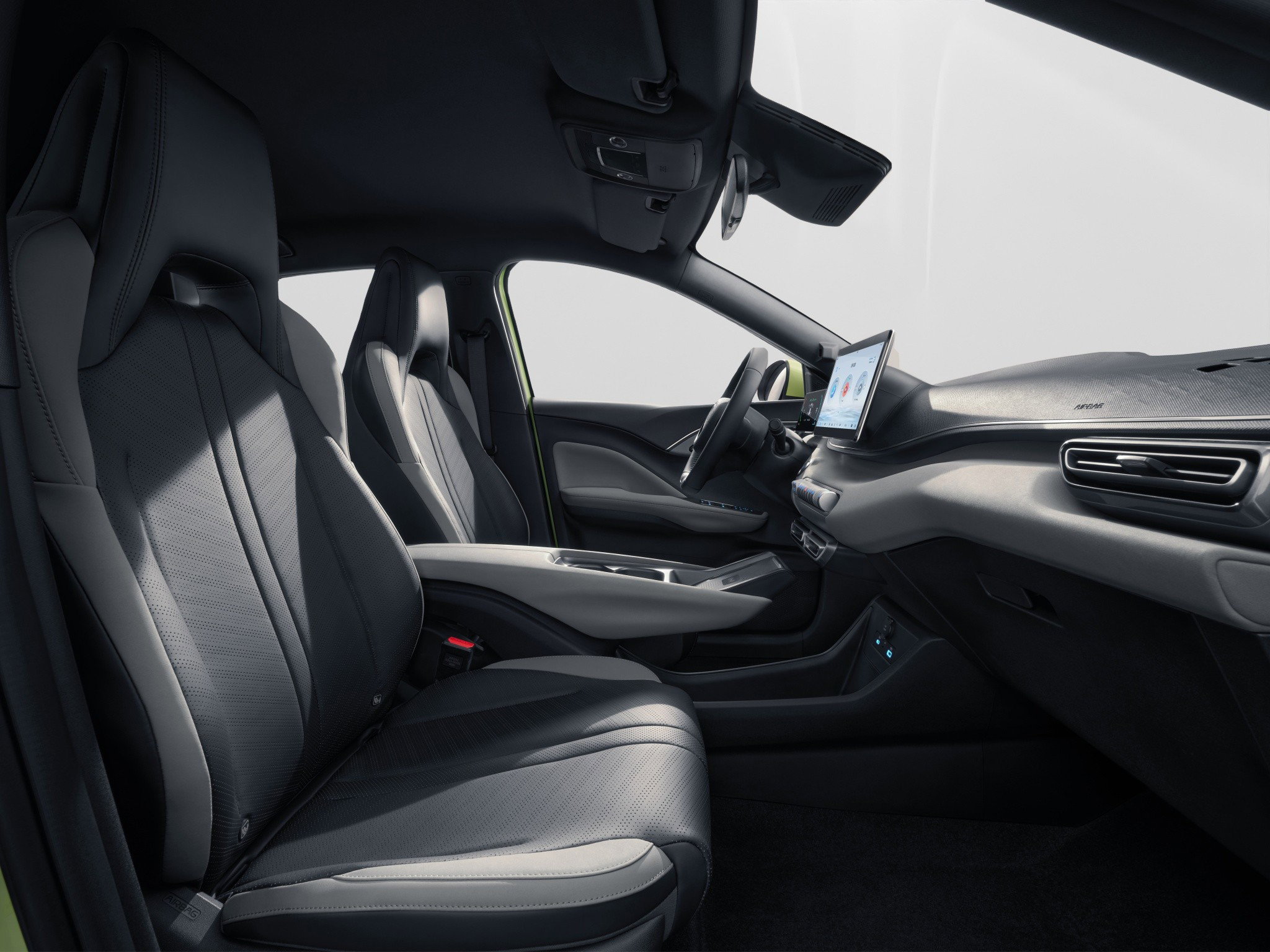 BYD Dolphin Surf