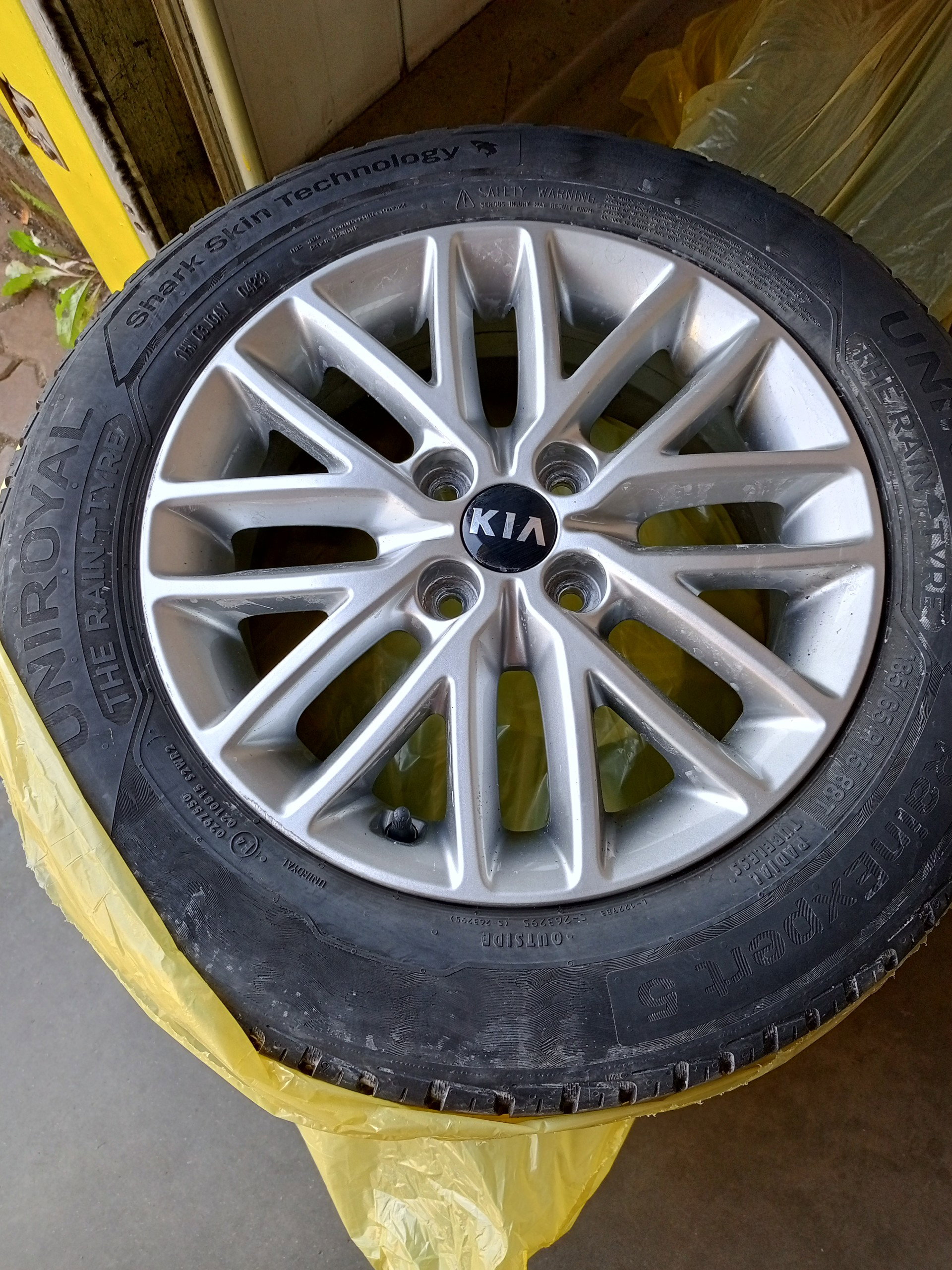 KIA Rio