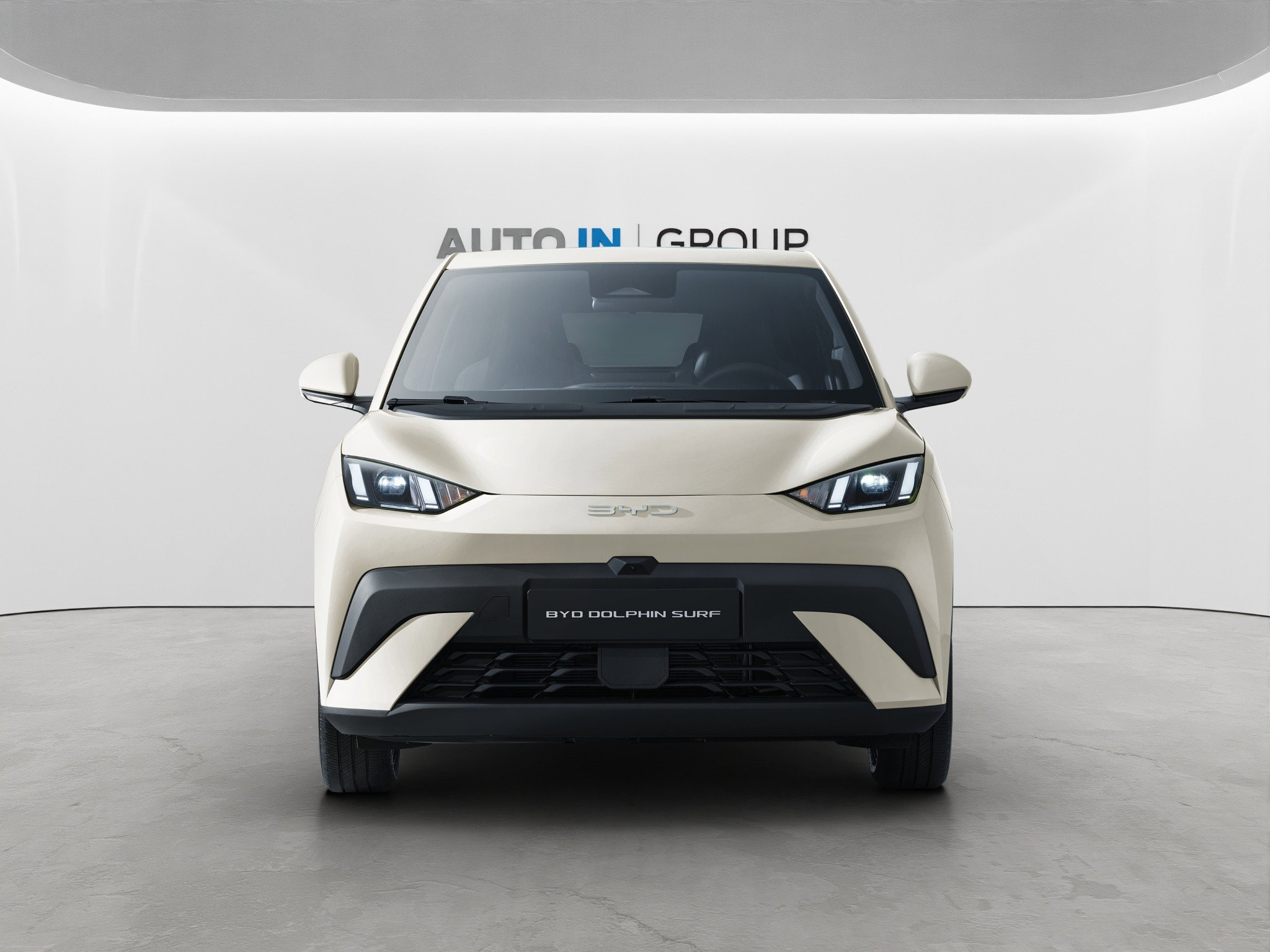 BYD Dolphin Surf