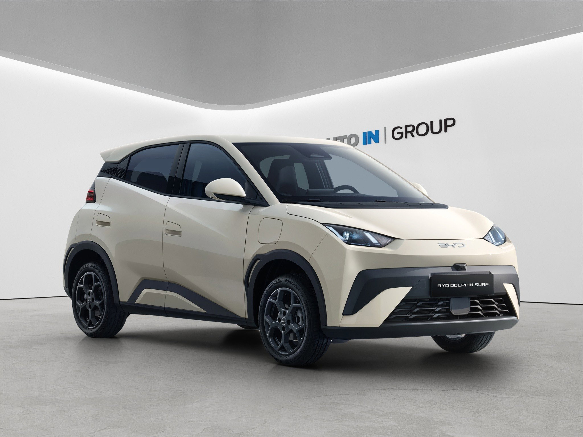 BYD Dolphin Surf