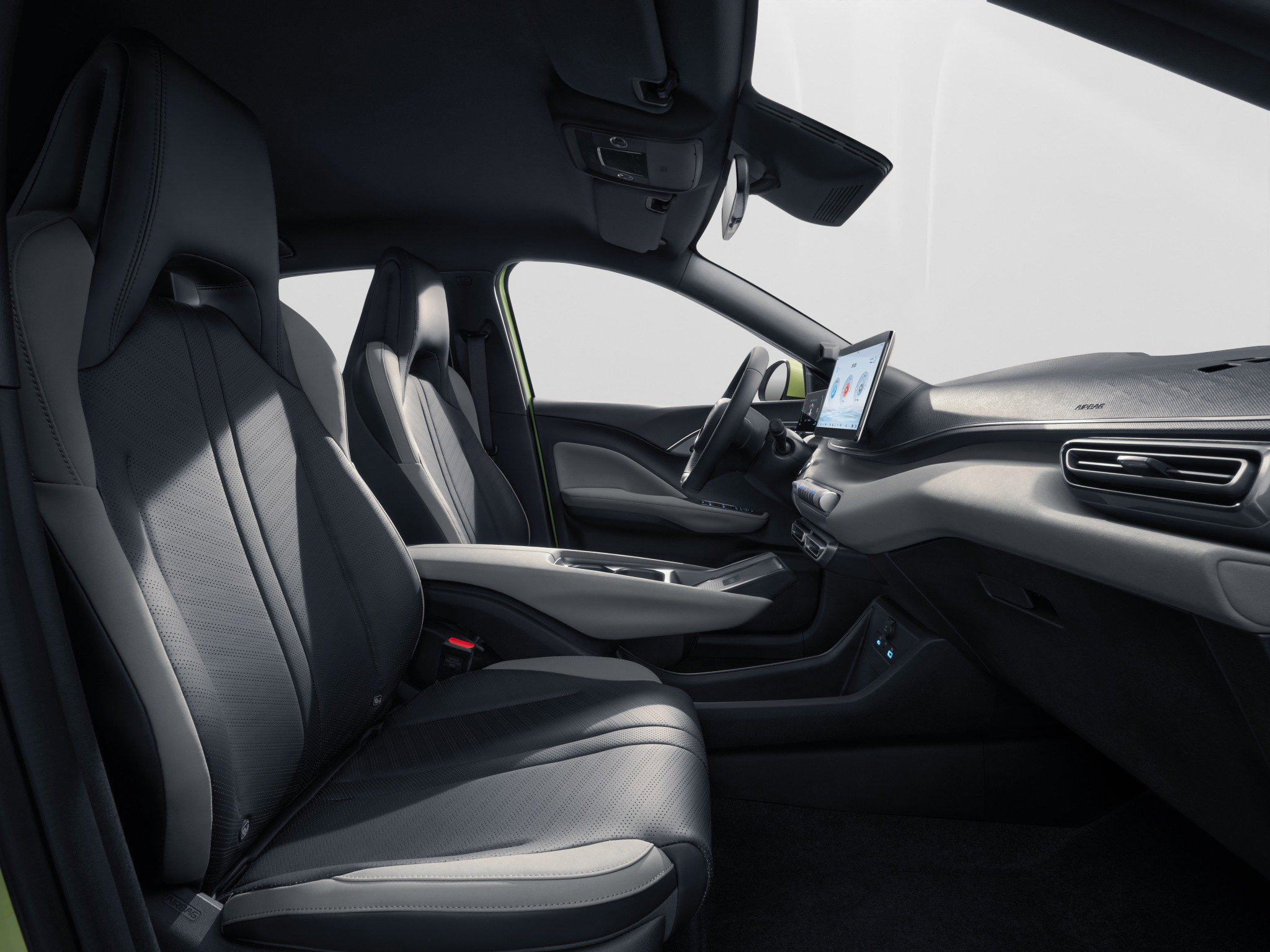 BYD Dolphin Surf