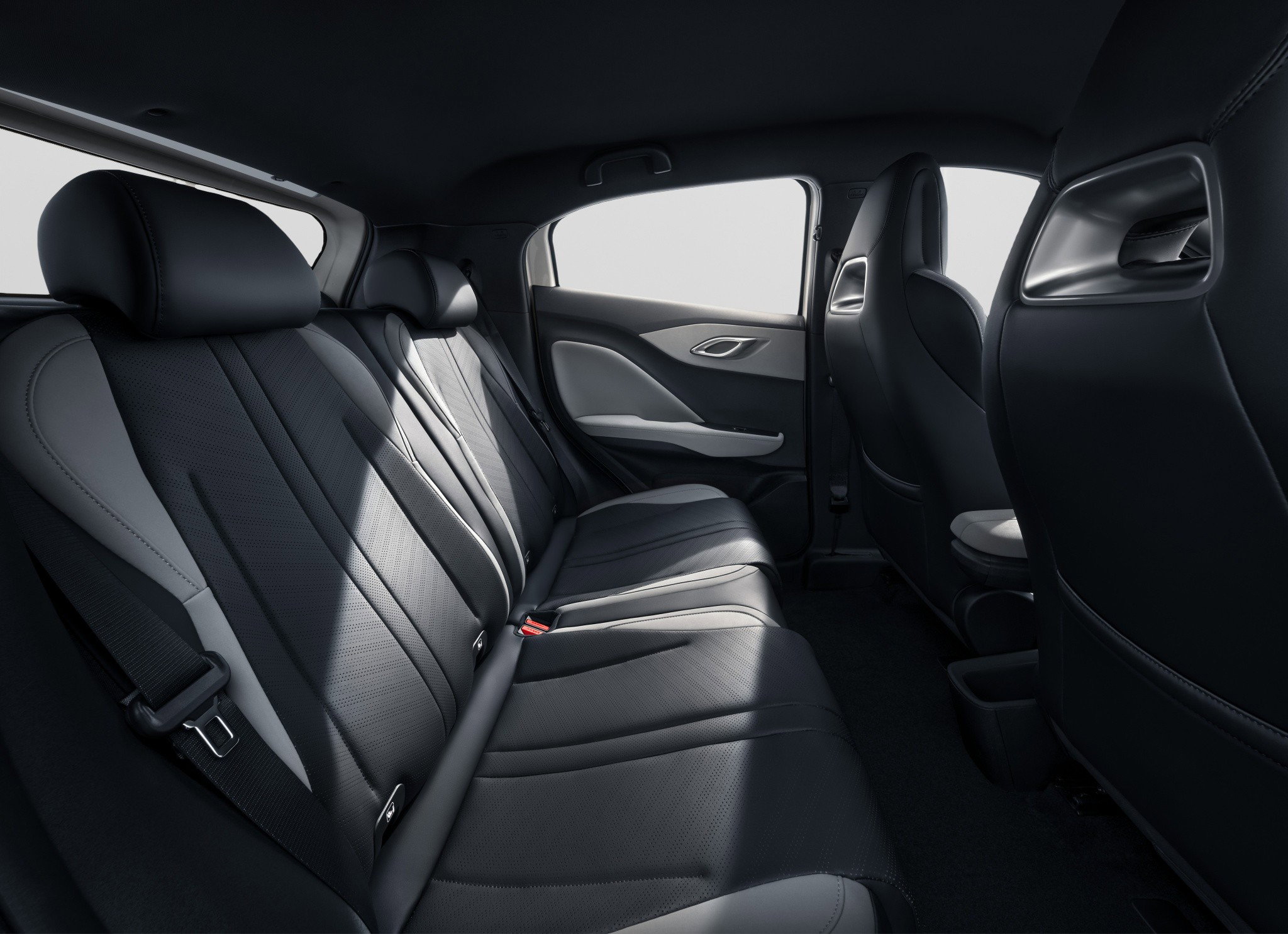 BYD Dolphin Surf
