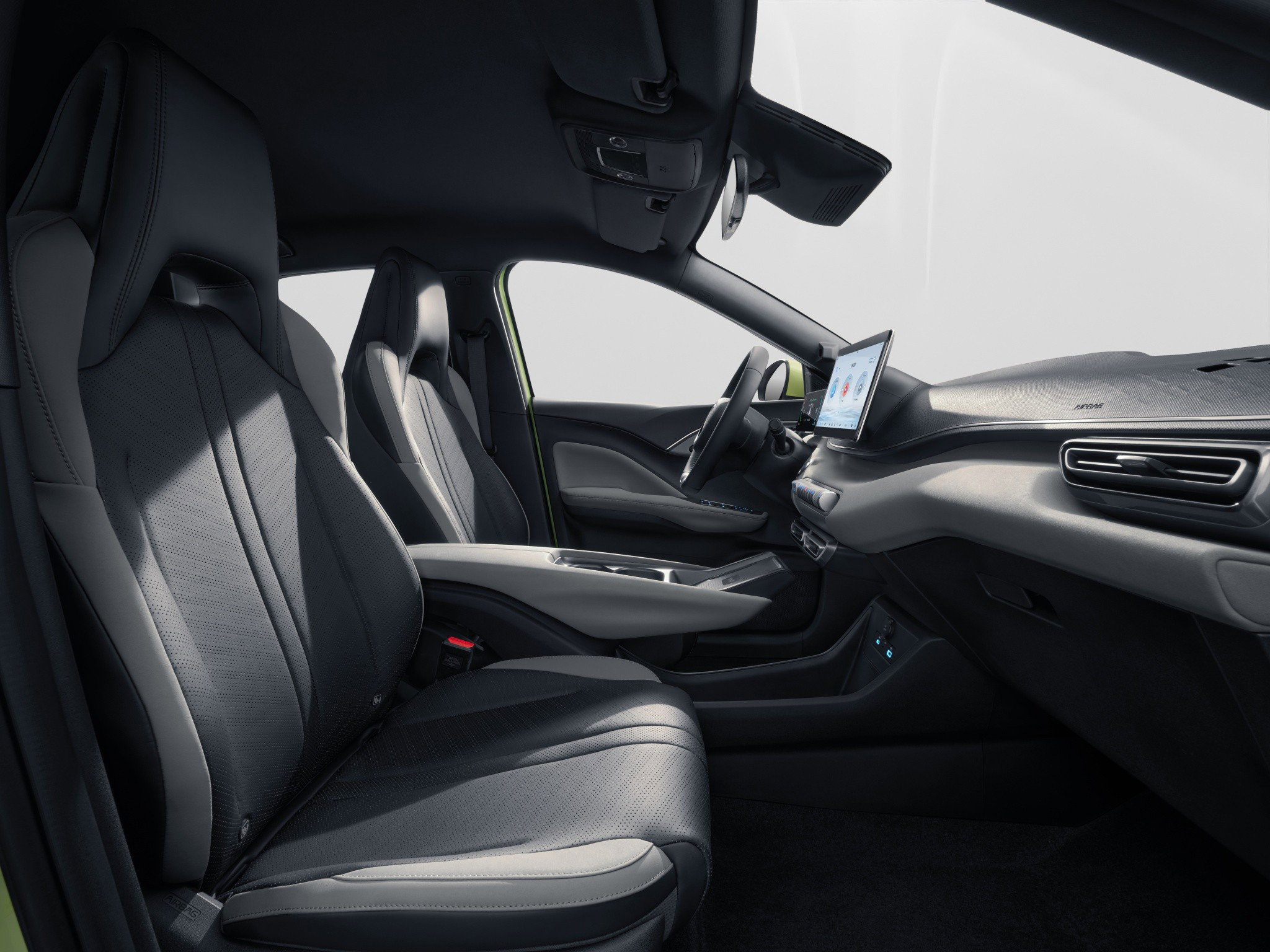 BYD Dolphin Surf