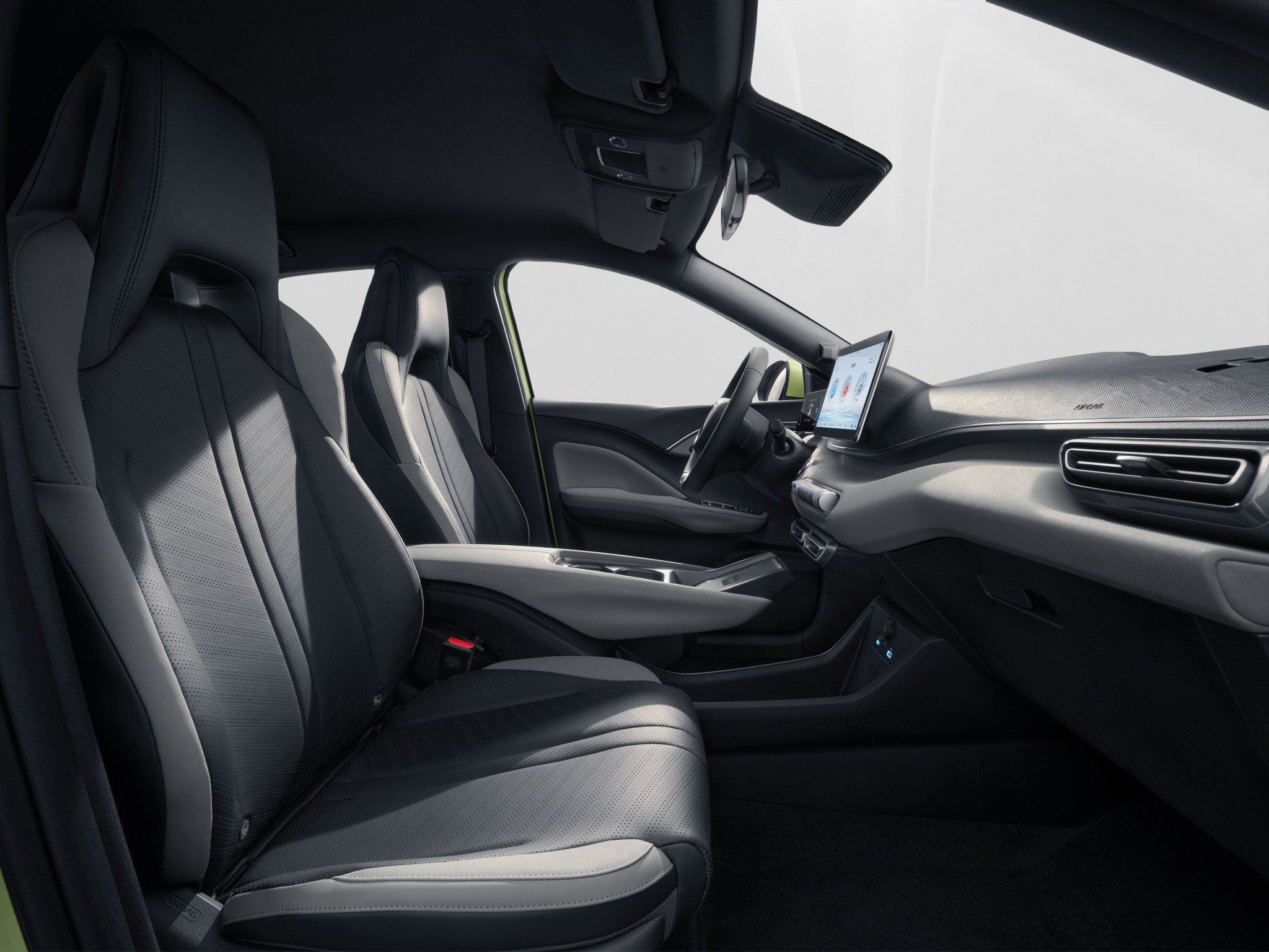 BYD Dolphin Surf