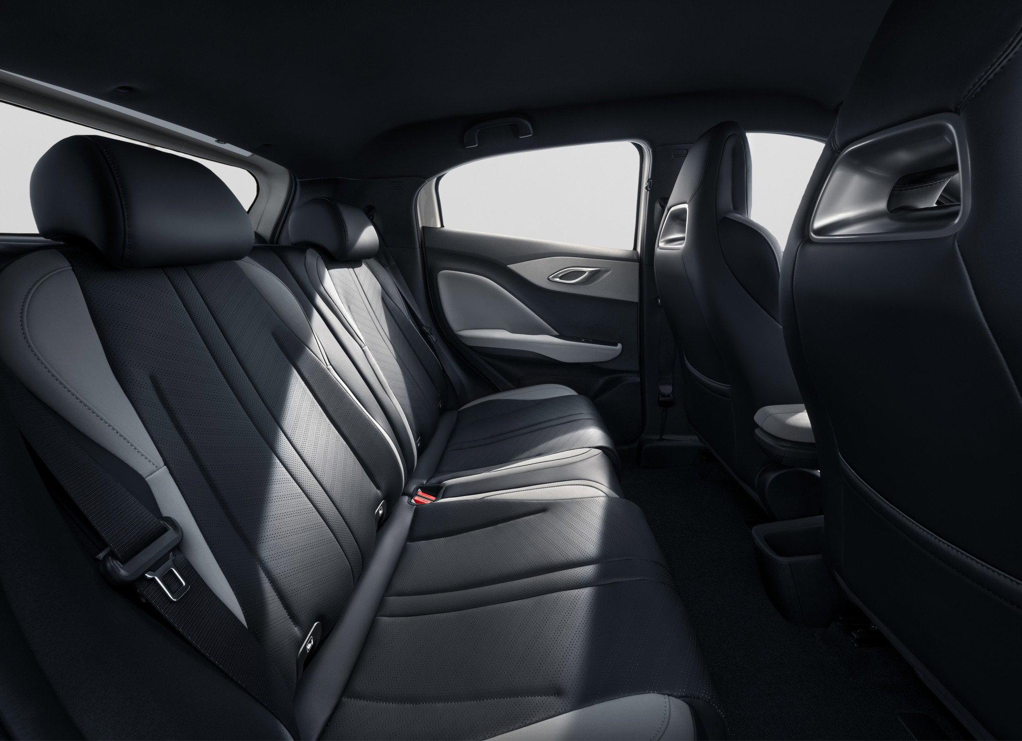 BYD Dolphin Surf